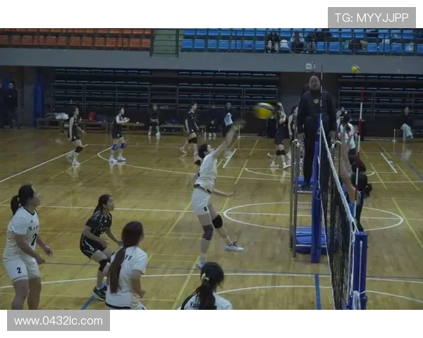 排球意识排行榜揭晓北京排球队荣登榜首引发热议